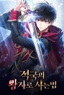 Reborn As The Enemy Prince
